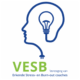 VESB Logo